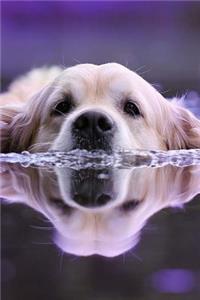 Water Dog Notebook