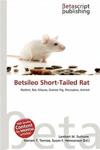 Betsileo Short-Tailed Rat