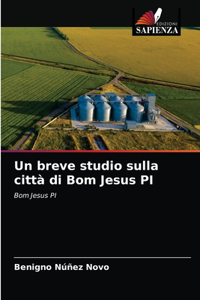 Un breve studio sulla città di Bom Jesus PI