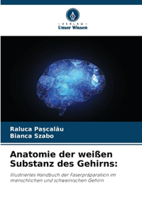 Anatomie der weißen Substanz des Gehirns