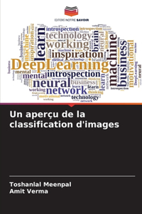 aperçu de la classification d'images
