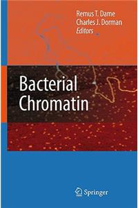 Bacterial Chromatin