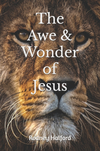 Awe & Wonder of Jesus