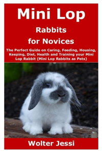 Mini Lop Rabbits for Novices
