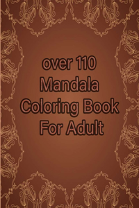 over 110 Mandala Coloring Book For Adult