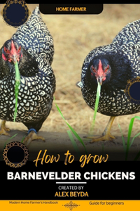 Barnevelder Chickens