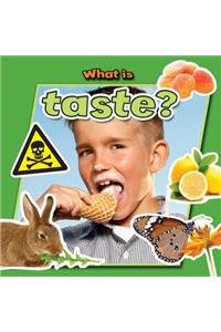 What is Taste?