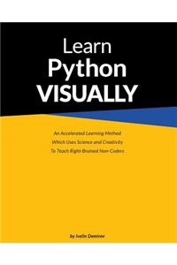 Learn Python Visually (paperback)