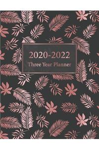 Three Year Planner 2020-2022