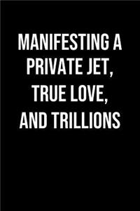 Manifesting A Private Jet True Love And Trillions