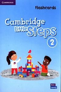 Cambridge Little Steps Level 2 Flashcards