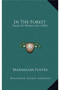 In the Forest