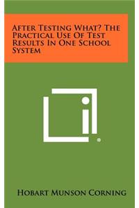 After Testing What? the Practical Use of Test Results in One School System