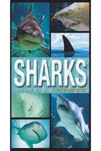 Family Reference Guide Sharks