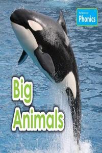 Big Animals