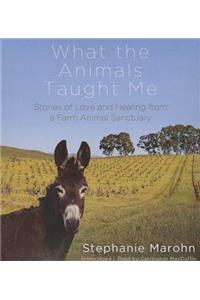 What the Animals Taught Me