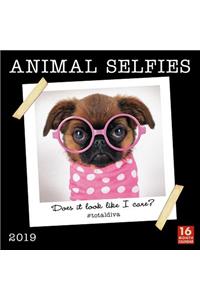 2019 Animal Selfies 16-Month Wall Calendar: By Sellers Publishing
