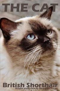 The Cats (British Shorthair)