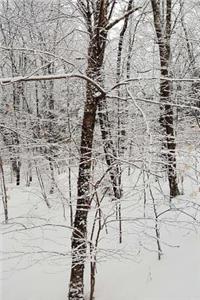 Overcast Day Winter Journal