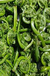 Garden Journal Fresh Picked Fiddleheads
