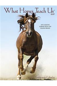 What Horses Teach Us 2019 Engagement Calendar