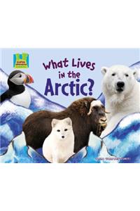What Lives in the Arctic?