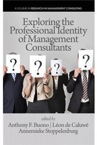 Exploring the Professional Identity of Management Consultants