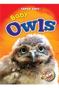 Baby Owls