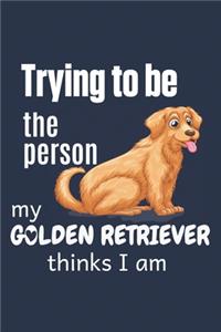 Trying to be the person my Golden Retriever thinks I am