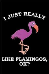 I Just Really Like Flamingos Ok?