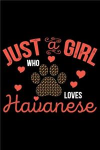 Just A Girl Who Loves Havanese