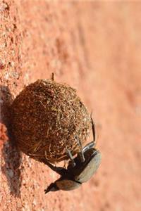 Dung Beetle on a Roll Journal
