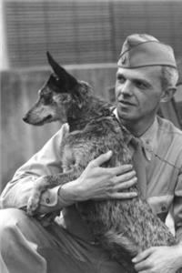 Australian Cattle Dog with a WWII US Soldier Journal