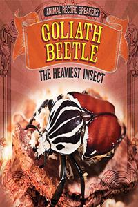 Goliath Beetle: The Heaviest Insect