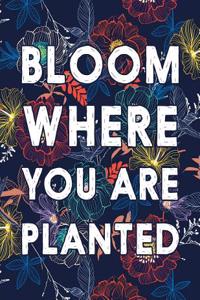 Bloom Where You Are Planted
