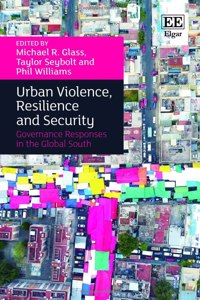 Urban Violence, Resilience and Security