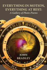 Everything in Motion, Everything at Rest: A Gallery of Photo-Poems