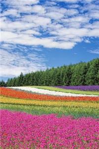 Field of Flowers the Colors of the Rainbow Journal