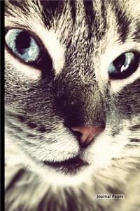 Journal Pages - Kitty Close Up (Bullet Journal)