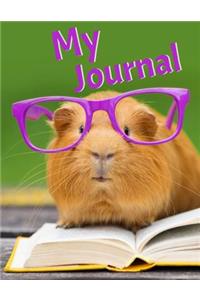 My Journal
