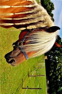 Haflinger Horse with a Braided Mane Journal