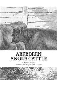 Aberdeen Angus Cattle
