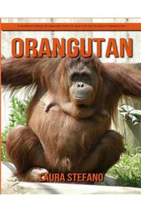 Orangutan