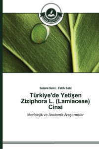 Türkiye'de Yetisen Ziziphora L. (Lamiaceae) Cinsi