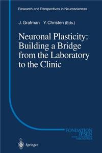 Neuronal Plasticity: Building a Bridge from the Laboratory to the Clinic