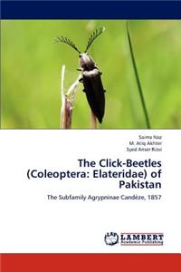 Click-Beetles (Coleoptera