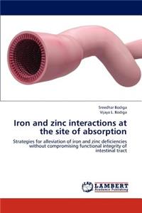 Iron and Zinc Interactions at the Site of Absorption