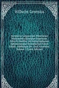 Scripturae Linguaeque Phoeniciae Monumenta Quotquot Supersunt, Edita Et Inedita, Ad Autographorum Optimorumque Exemplorum Fidem Edidit, Additisque De . Guil. Gesenius, Volume 1 (Latin Edition)