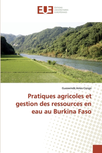 Pratiques agricoles et gestion des ressources en eau au Burkina Faso