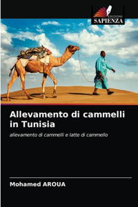 Allevamento di cammelli in Tunisia